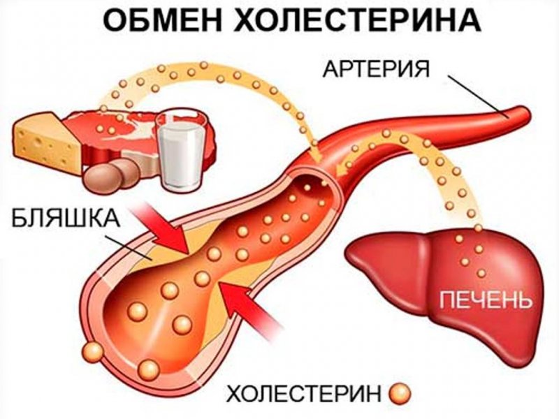  Медики говорят, что холестерин надо снижать, кушая авокадо