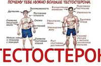 Что делать, если тестостерон решил уйти в отпуск