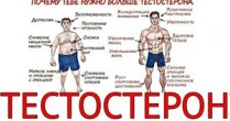 Что делать, если тестостерон решил уйти в отпуск