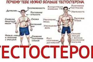 Что делать, если тестостерон решил уйти в отпуск