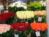 Преимущества покупки живых цветов оптом