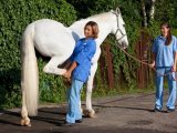 Хромота может быть результатом травм у лошадей